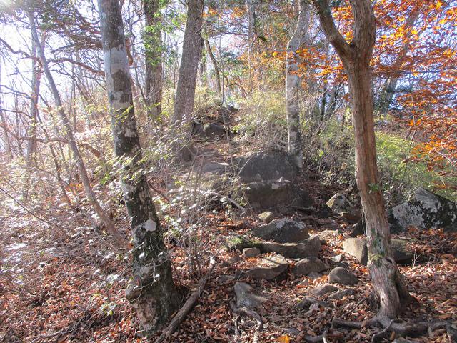 画像5: 11月の山旅会 都民の森から槙寄山 ツアーの下見に行ってきました!