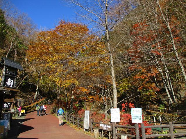 画像1: 11月の山旅会 都民の森から槙寄山 ツアーの下見に行ってきました!