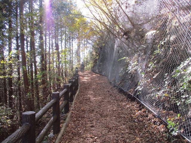 画像2: 11月の山旅会 都民の森から槙寄山 ツアーの下見に行ってきました!