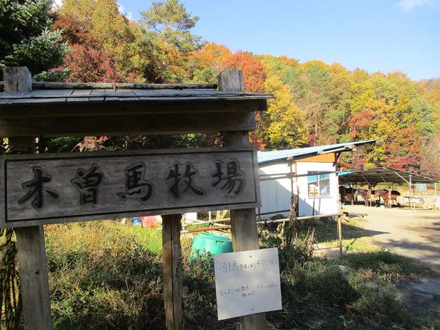 画像12: 岡田ガイドのハイキングコースで 青木ケ原樹海と三湖台 のコースに行ってきました♪