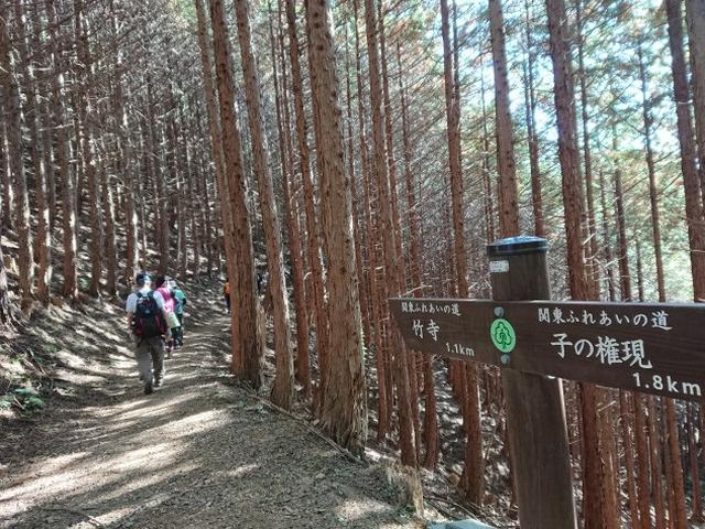 画像5: ごちそう山!!子の権現から竹寺ツアーのご報告です!