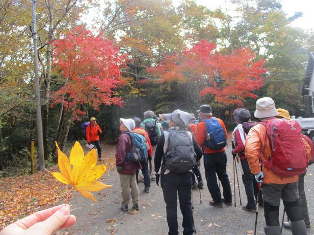 画像1: 岡田ガイドのハイキングコースで 青木ケ原樹海と三湖台 のコースに行ってきました♪