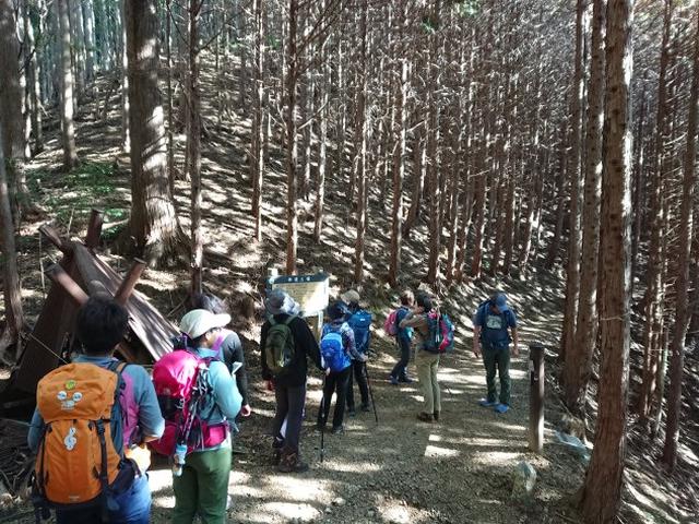 画像4: ごちそう山!!子の権現から竹寺ツアーのご報告です!