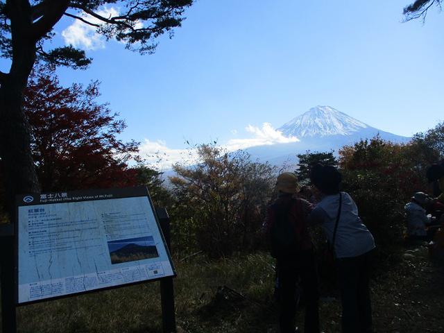 画像8: 岡田ガイドのハイキングコースで 青木ケ原樹海と三湖台 のコースに行ってきました♪