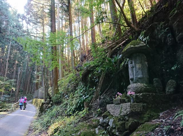 画像1: ごちそう山!!子の権現から竹寺ツアーのご報告です!