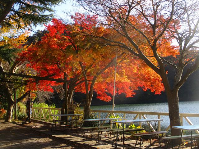 画像10: 11月18日に山旅会 四尾連湖から蛾ヶ岳 ツアーに行ってきました!