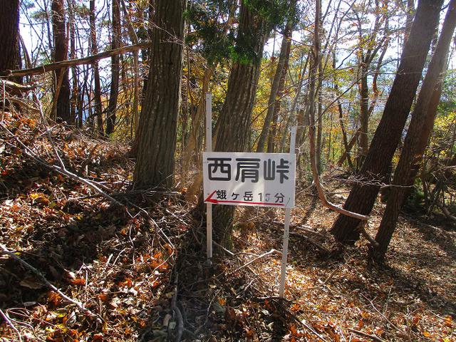 画像5: 11月18日に山旅会 四尾連湖から蛾ヶ岳 ツアーに行ってきました!
