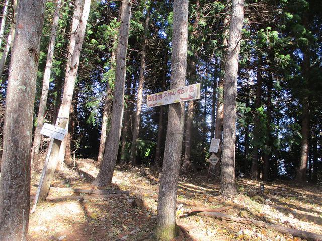 画像2: 11月18日に山旅会 四尾連湖から蛾ヶ岳 ツアーに行ってきました!