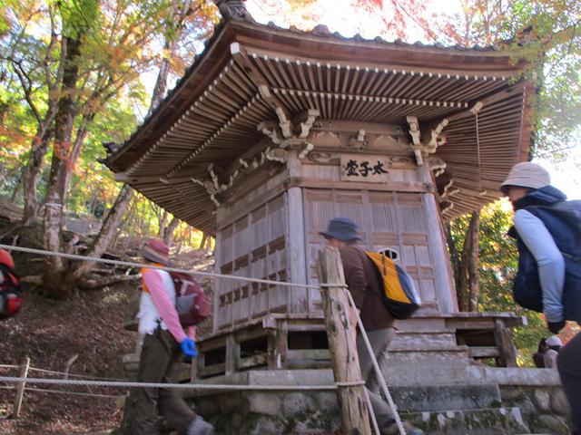 画像5: 11月21日から山旅会 「香嵐渓と鳳来寺」 ツアーに行ってきました!