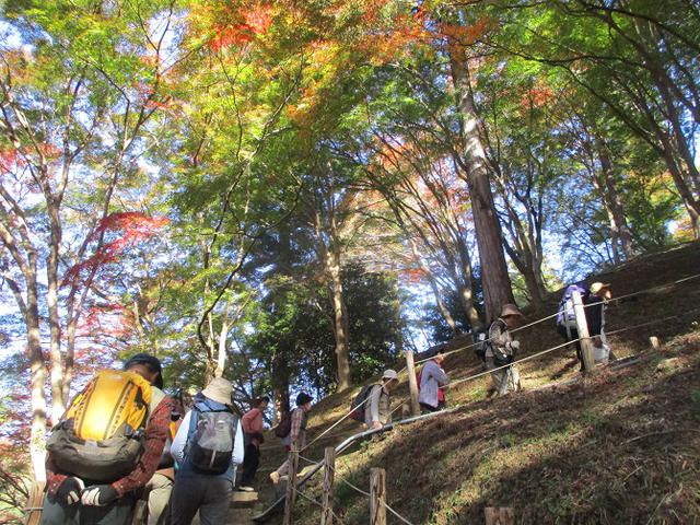 画像6: 11月21日から山旅会 「香嵐渓と鳳来寺」 ツアーに行ってきました!