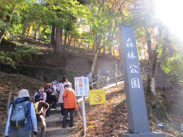 画像4: 11月21日から山旅会 「香嵐渓と鳳来寺」 ツアーに行ってきました!