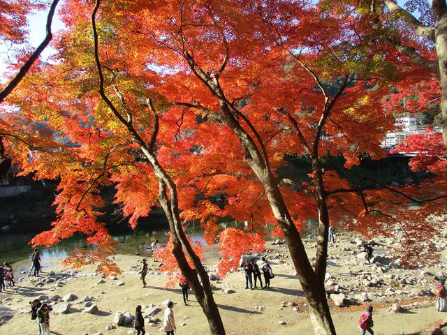 画像8: 11月21日から山旅会 「香嵐渓と鳳来寺山」 ツアーに行ってきました!