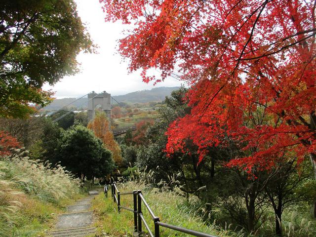 画像11: 12月の山旅会 「三ノ塔尾根」 ツアーの下見にいってきました!