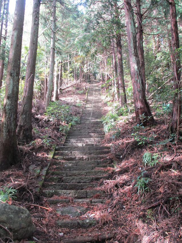 画像7: 12月の山旅会 「鐘ヶ岳」 の下見に行ってきました!