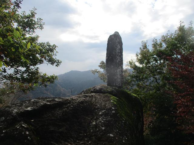 画像6: 12月の山旅会 「鐘ヶ岳」 の下見に行ってきました!