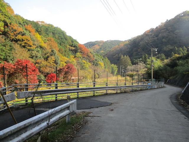 画像13: 12月の山旅会 「鐘ヶ岳」 の下見に行ってきました!