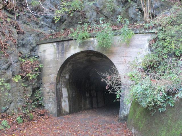 画像12: 12月の山旅会 「鐘ヶ岳」 の下見に行ってきました!