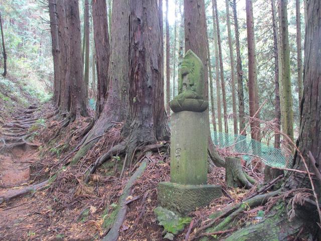 画像2: 12月の山旅会 「鐘ヶ岳」 の下見に行ってきました!