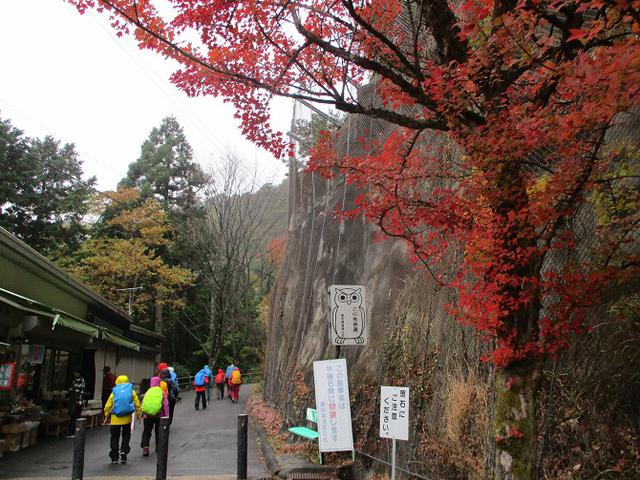 画像1: 11月21~22日に山旅会 「香嵐渓と鳳来寺山」 ツアーに行ってきました!