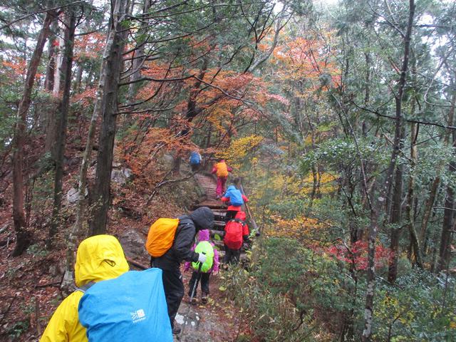 画像6: 11月21~22日に山旅会 「香嵐渓と鳳来寺山」 ツアーに行ってきました!
