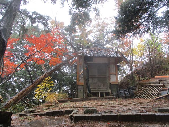 画像8: 11月21~22日に山旅会 「香嵐渓と鳳来寺山」 ツアーに行ってきました!
