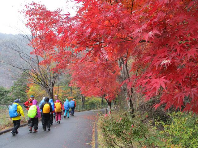 画像2: 11月21~22日に山旅会 「香嵐渓と鳳来寺山」 ツアーに行ってきました!