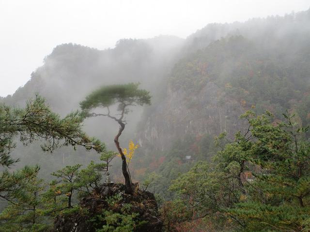 画像13: 11月21~22日に山旅会 「香嵐渓と鳳来寺山」 ツアーに行ってきました!
