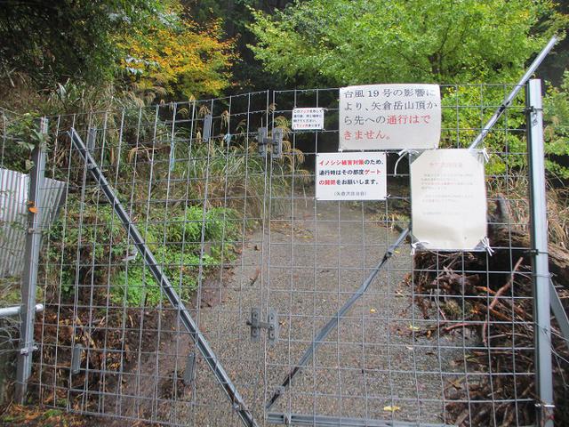 画像2: 11月27日に山旅会 矢倉岳 ツアーに行ってきました!