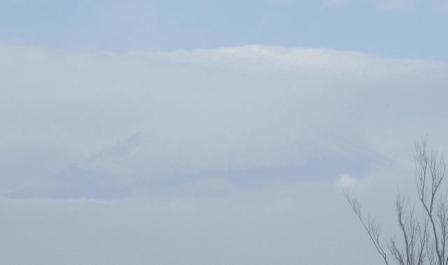 画像9: 11月27日に山旅会 矢倉岳 ツアーに行ってきました!