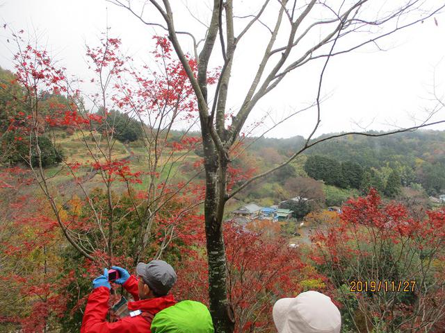 画像10: 11月27日に山旅会 矢倉岳 ツアーに行ってきました!