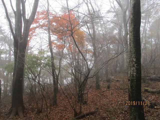 画像6: 11月27日に山旅会 矢倉岳 ツアーに行ってきました!