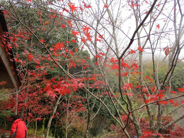 画像11: 11月27日に山旅会 矢倉岳 ツアーに行ってきました!