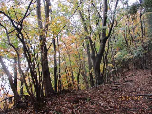 画像4: 11月27日に山旅会 矢倉岳 ツアーに行ってきました!