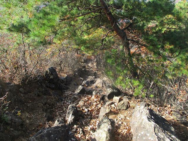 画像9: 12月の山旅会 「深高山から石尊山」 ツアーの下見に行ってきました!