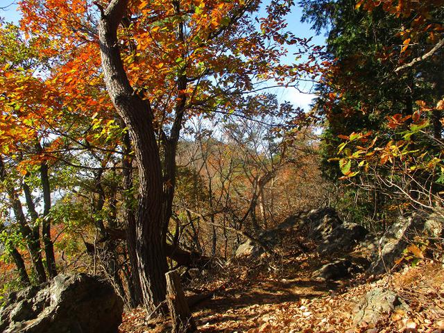 画像5: 12月の山旅会 「深高山から石尊山」 ツアーの下見に行ってきました!