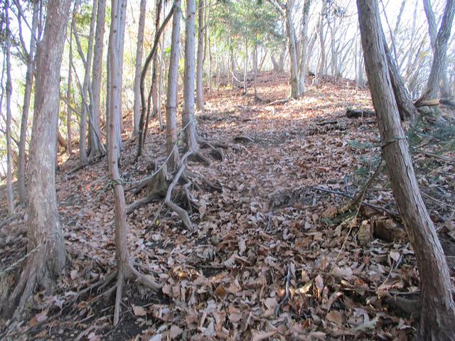 画像3: 12月の山旅会 「深高山から石尊山」 ツアーの下見に行ってきました!