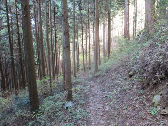 画像11: 12月の山旅会 生藤山 ツアーの下見に行ってきました!