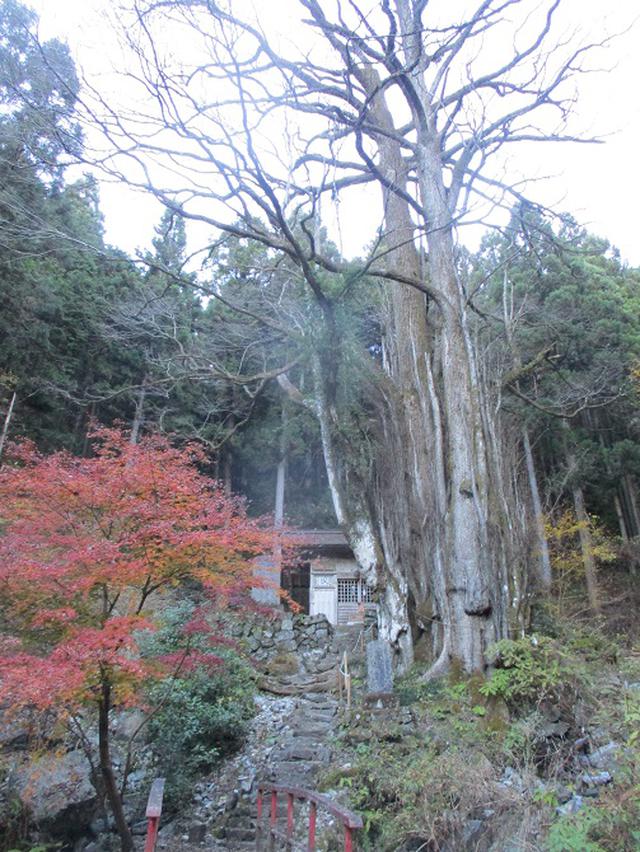 画像2: 12月の山旅会 生藤山 ツアーの下見に行ってきました!