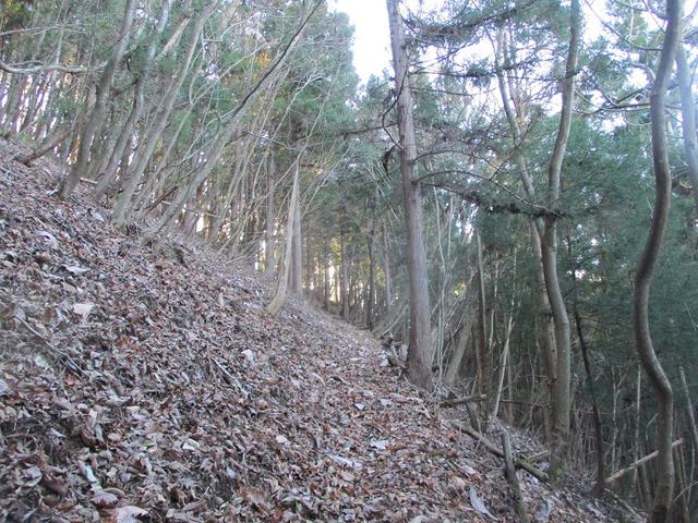 画像4: 12月の山旅会 生藤山 ツアーの下見に行ってきました!