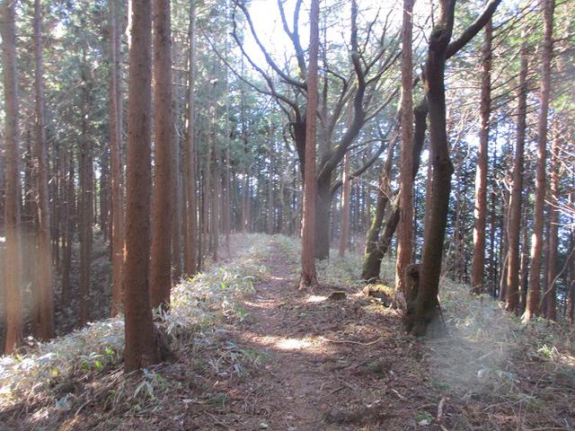 画像10: 12月の山旅会 生藤山 ツアーの下見に行ってきました!