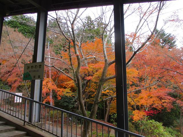 画像9: 12月6日に山旅会 筑波山 ツアーにいってきました!