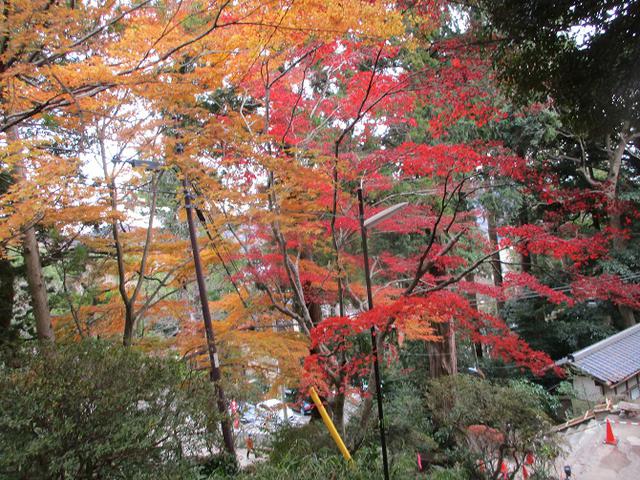画像10: 12月6日に山旅会 筑波山 ツアーにいってきました!