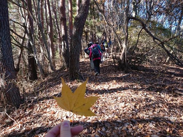 画像2: 12月8日に「ツール・ド・富士山番外編」 倉見山 へ行ってきました♪