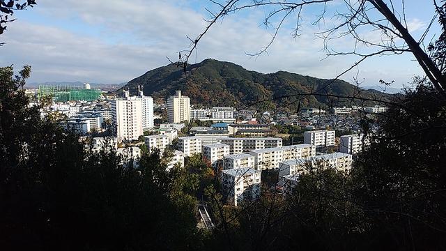 画像7: 来年冬の企画素材を探して神戸の須磨アルプスを歩いてみました!