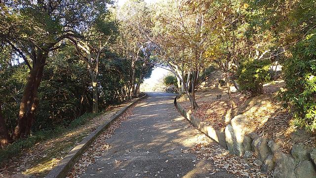 画像2: 来年冬の企画素材を探して神戸の須磨アルプスを歩いてみました!