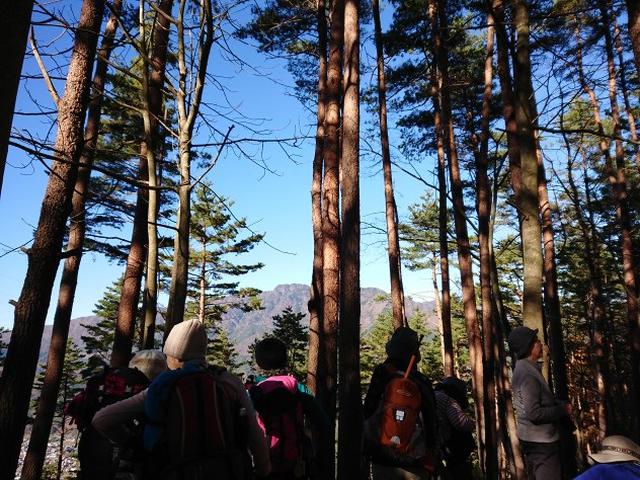 画像3: 12月8日に「ツール・ド・富士山番外編」 倉見山 へ行ってきました♪