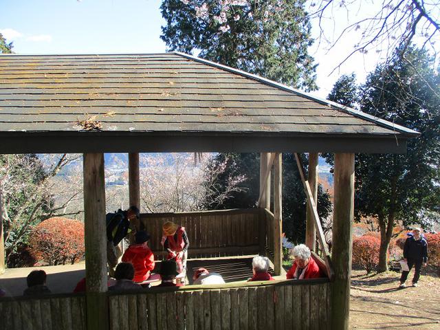 画像9: 12月4日に冬桜で有名なその名も 「桜山」 へ行って来ました♪