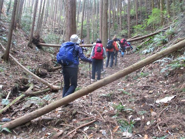 画像1: 12月10日に山旅会 深高山から石尊山 ツアーに行ってきました!