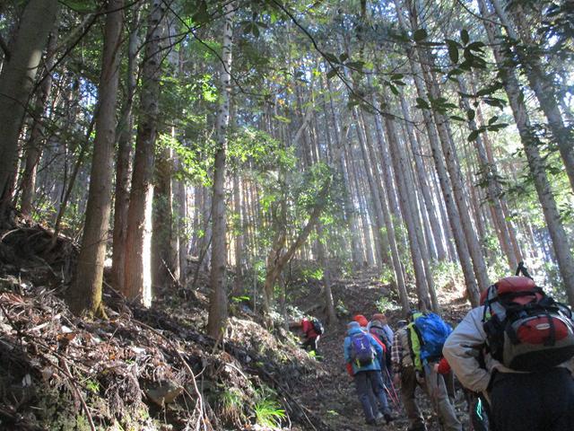 画像2: 12月4日に冬桜で有名なその名も 「桜山」 へ行って来ました♪