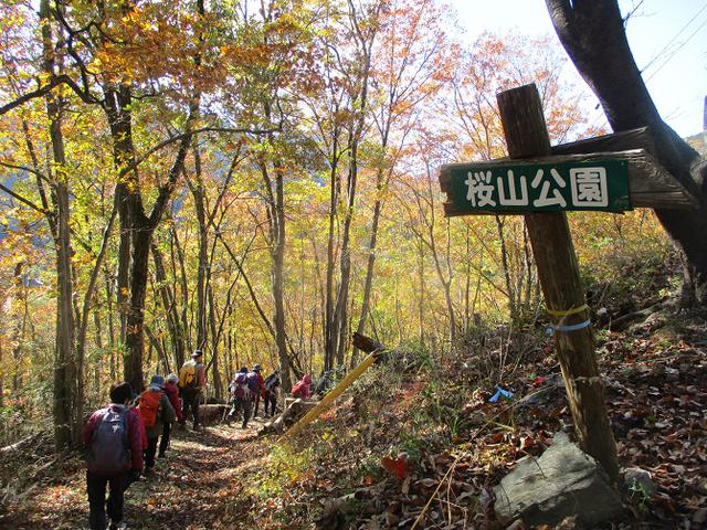 画像14: 12月4日に冬桜で有名なその名も 「桜山」 へ行って来ました♪